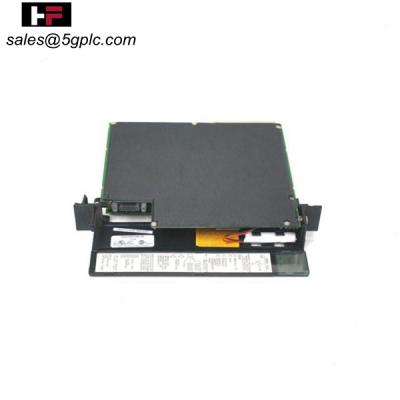 GE Fanuc IC698CHS017